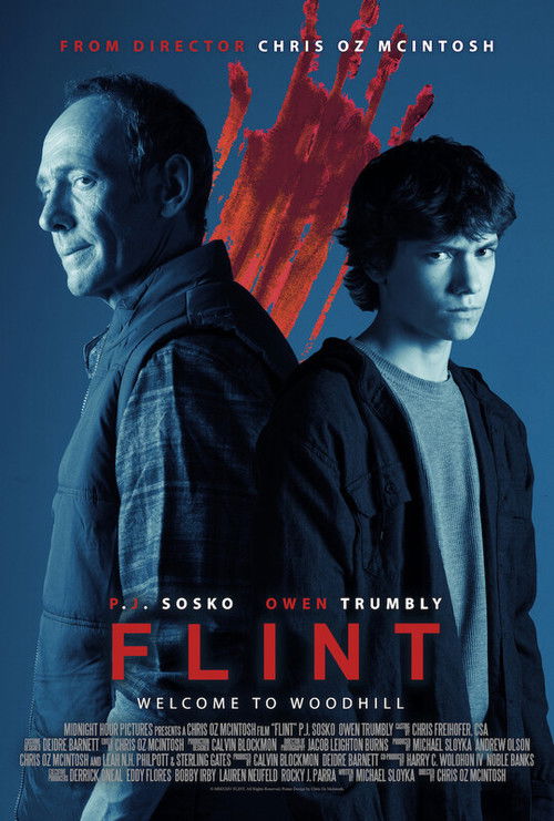 Flint (2024) poster
