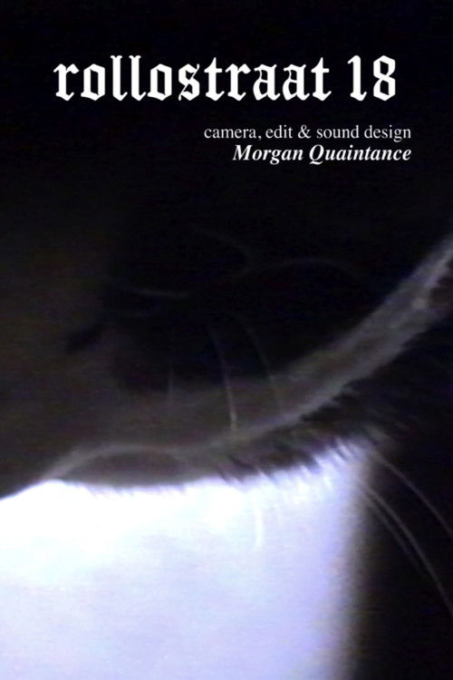 Rollostraat 18 (2022) poster