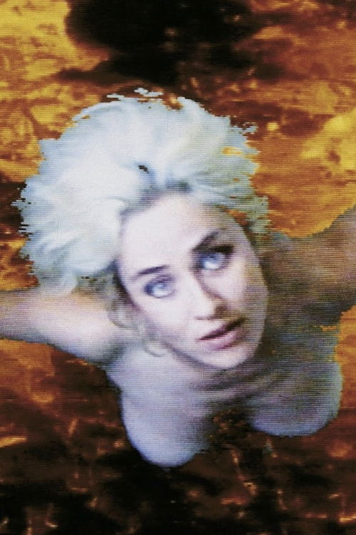 Selfless in the Bath of Lava (1994) poster