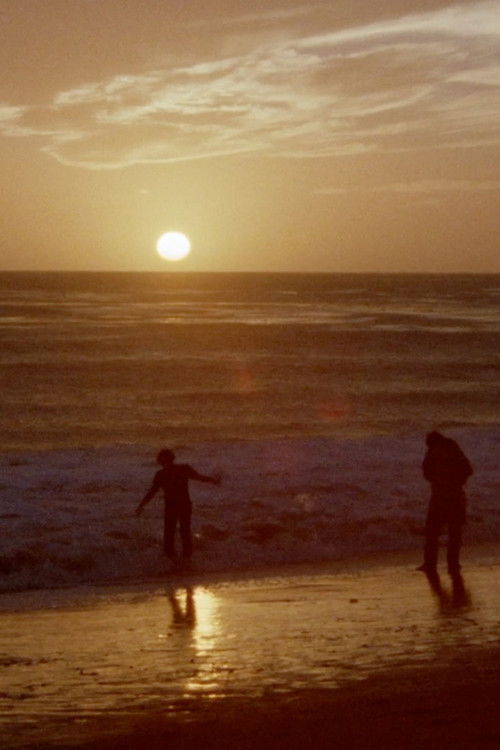 The Devonsville Train: Establishing Shots 2 (2022) poster