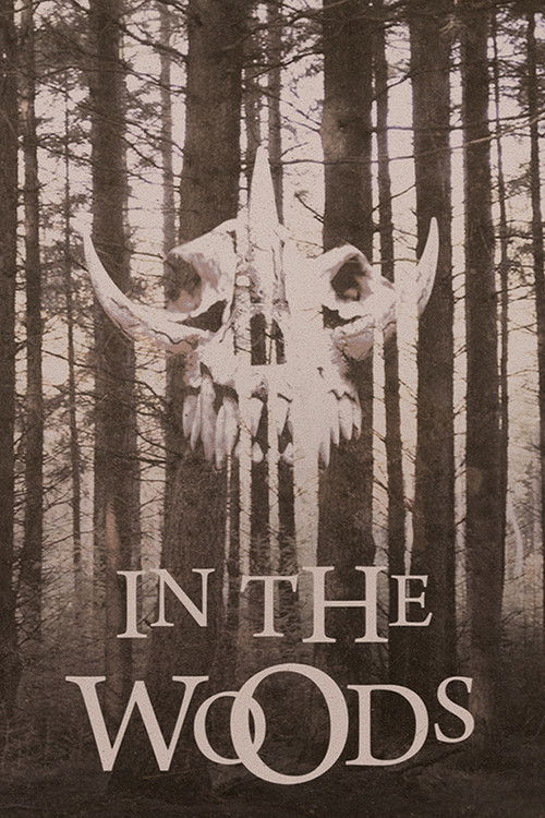 In the Woods (1999) poster