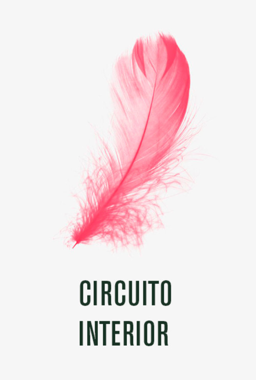 Circuito interior (1999) poster