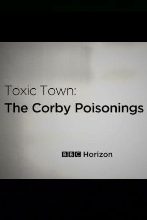 Toxic Town: The Corby Poisonings (2020) poster