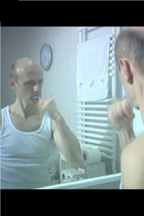 The Tost (2008) poster