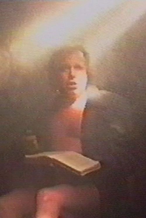 América: O Grande Acerto de Vespúcio (1992) poster