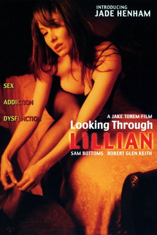 Looking Through Lillian (2002) poster