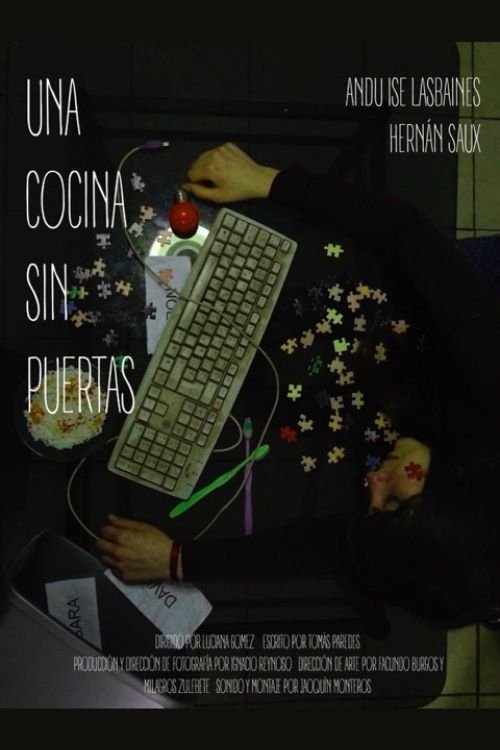 A kitchen without doors (2024) poster