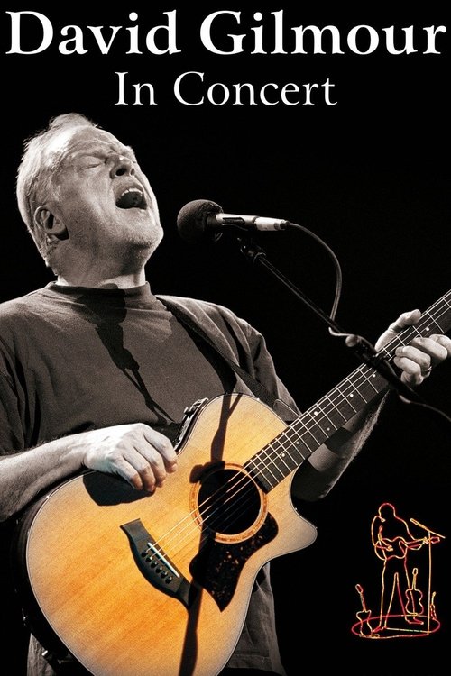 David Gilmour: In Concert (2002) poster