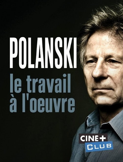 Polanski, le travail à l'oeuvre (2019) poster