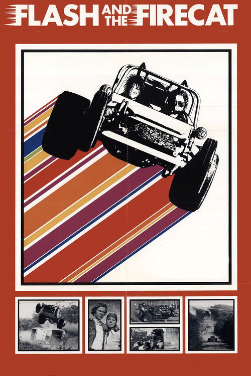 Flash and the Firecat (1975) poster