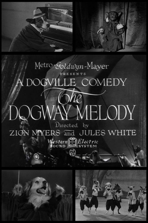 The Dogway Melody (1930) poster
