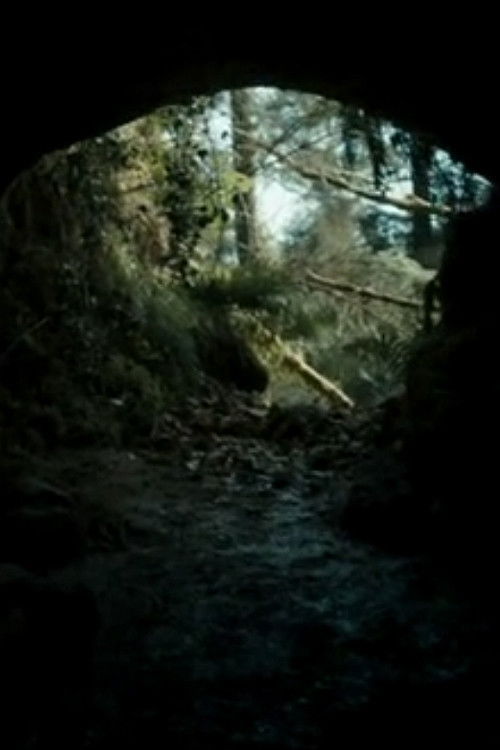 The Beast (2013) poster