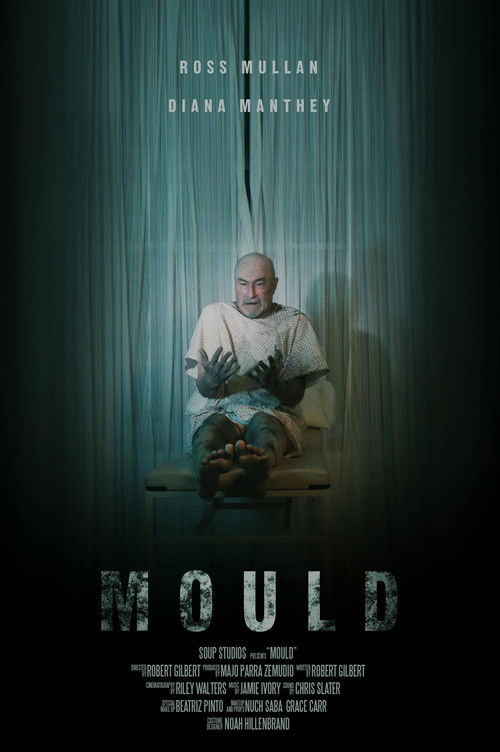 Mould (2024) poster