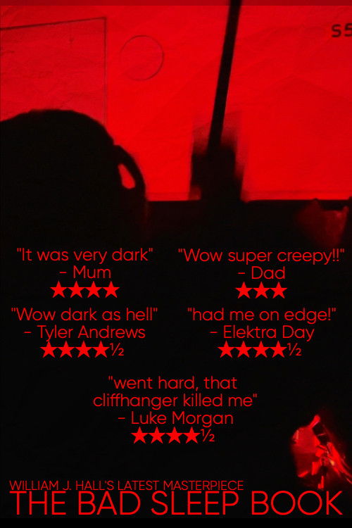 THE BAD SLEEP BOOK (2024) poster