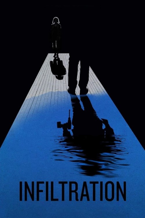 Le problème d'infiltration (2017) poster