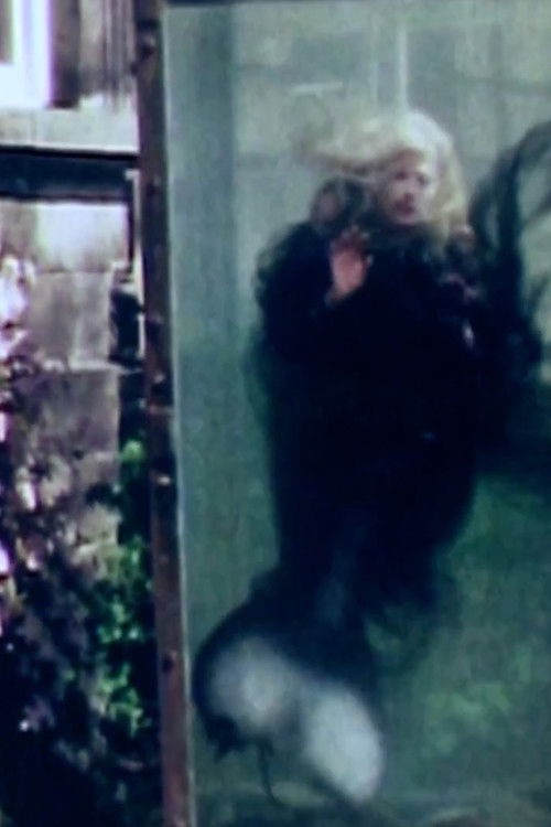 The Little Mermaid (2013) poster