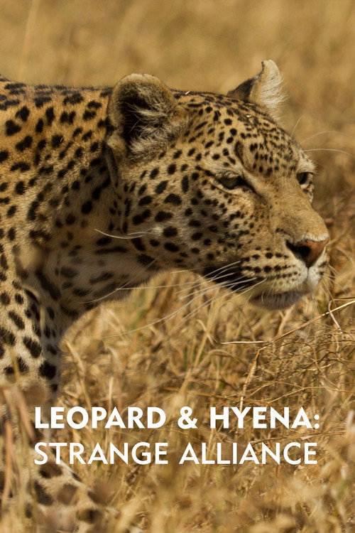 Leopard & Hyena: Strange Alliance (2021) poster