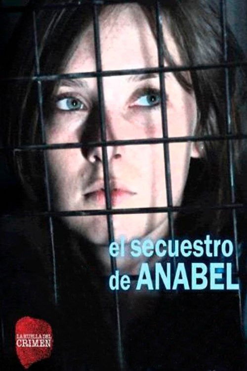 El secuestro de Anabel (2010) poster