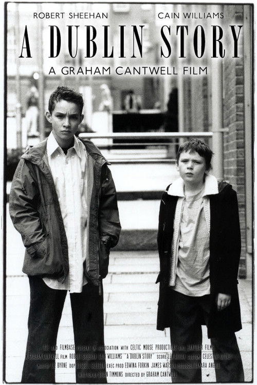 A Dublin Story (2003) poster