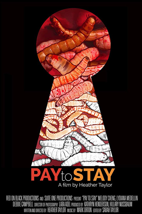Pay to Stay (2019) poster