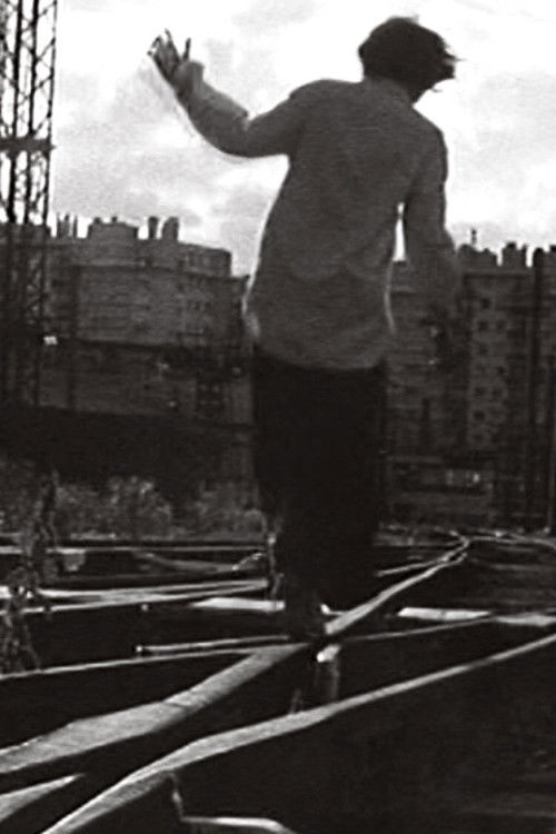 Promenaux (2002) poster