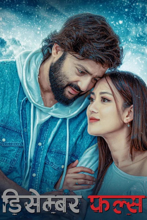 डिसेम्बर फल्स (2022) poster