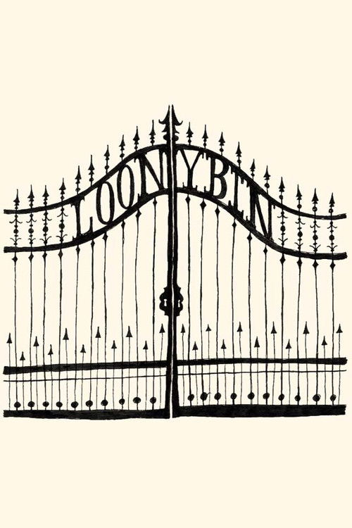 Loony Bin (2013) poster