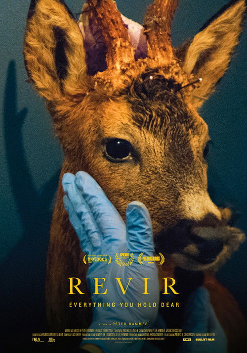Revir - Everything You Hold Dear (2023) poster