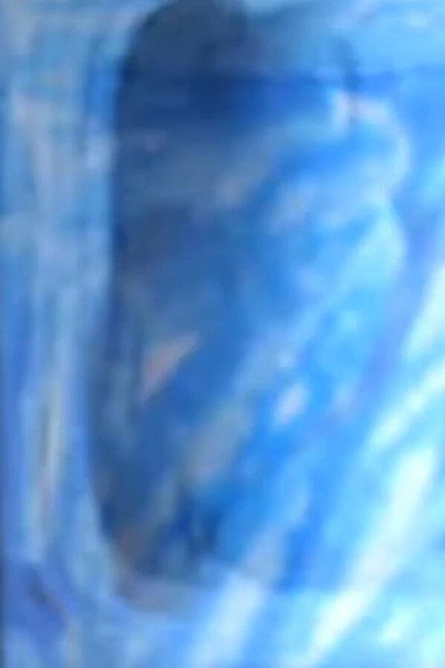 Le Mur (wall) - 2 (2021) poster