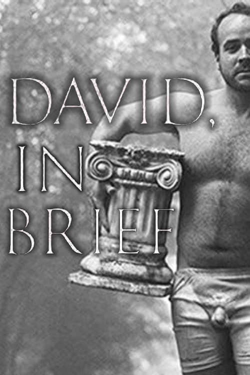 David, In Brief (2016) poster