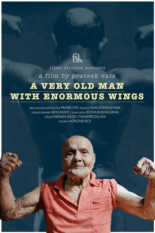 A Very Old Man with Enormous Wings (2017) poster