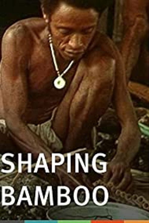 Shaping Bamboo (1979) poster