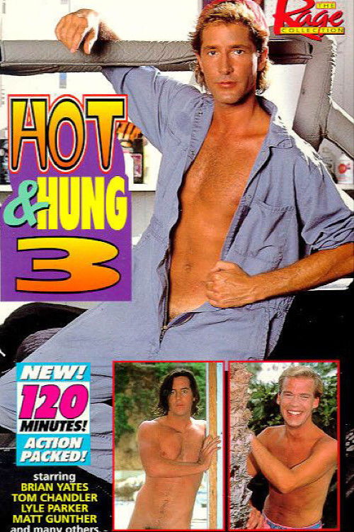 Hot & Hung 3 (1995) poster