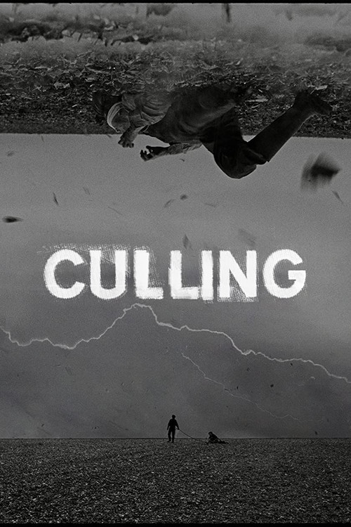 Culling (2021) poster