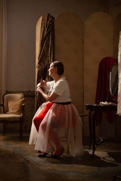 La Traviata (2025) poster