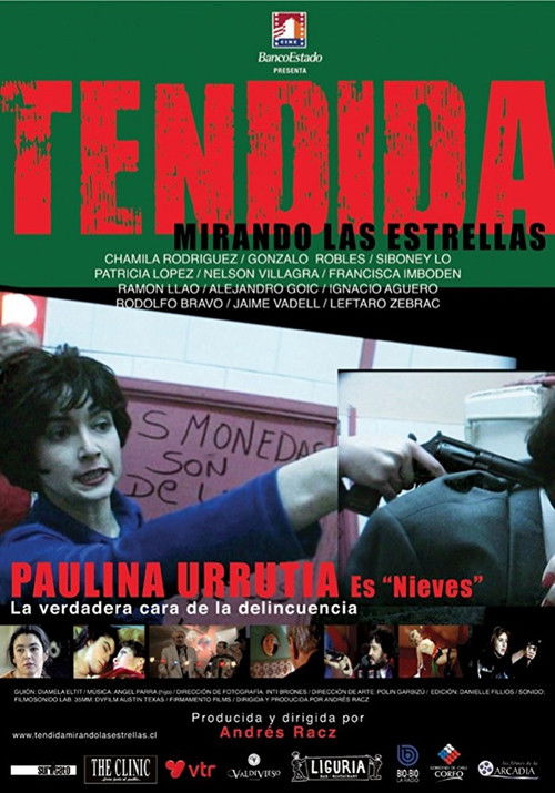 Tendida mirando las estrellas (2004) poster