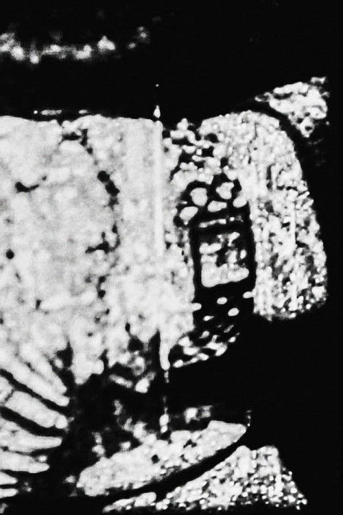 Vision of Traces (2012) poster