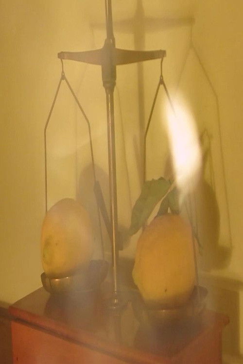 L'ABCDaire de l'amoureuse d'un photographe (2016) poster