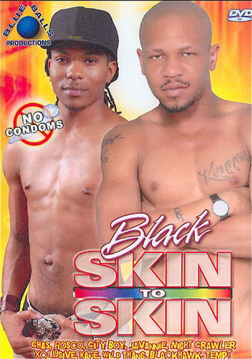 Black Skin to Skin (2009) poster