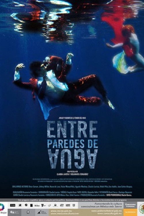 Entre paredes de agua (2010) poster