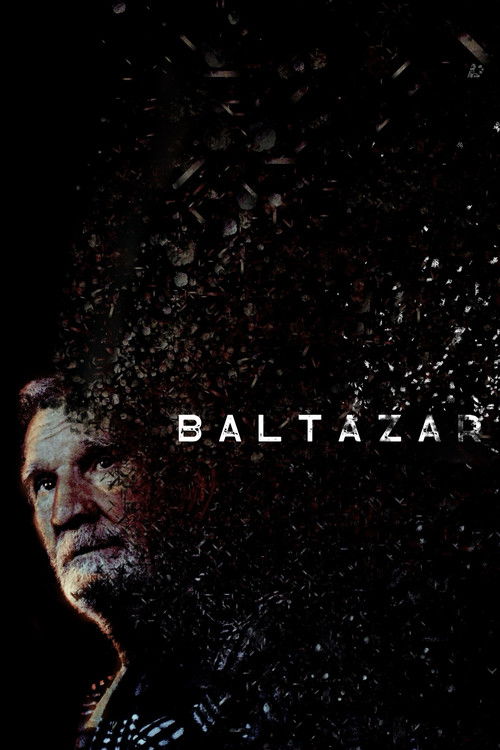 Baltazar (2023) poster