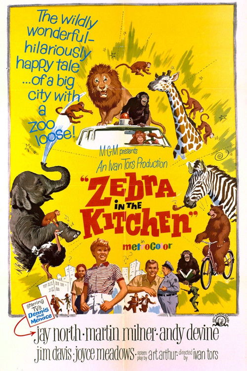 Zebra Mutfakta (1965) poster