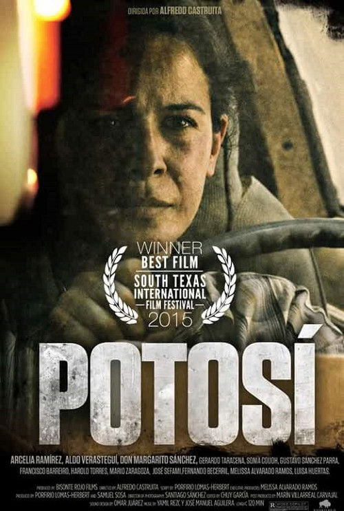 Potosí (2013) poster