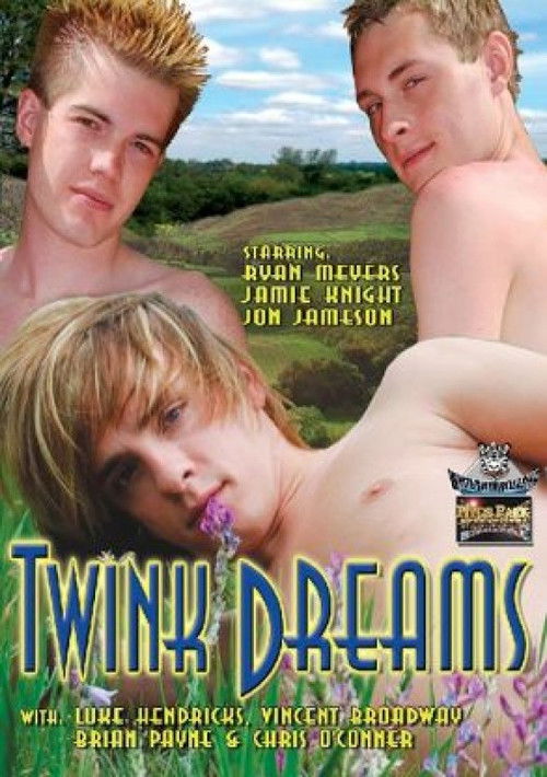 Twink Dreams (2007) poster