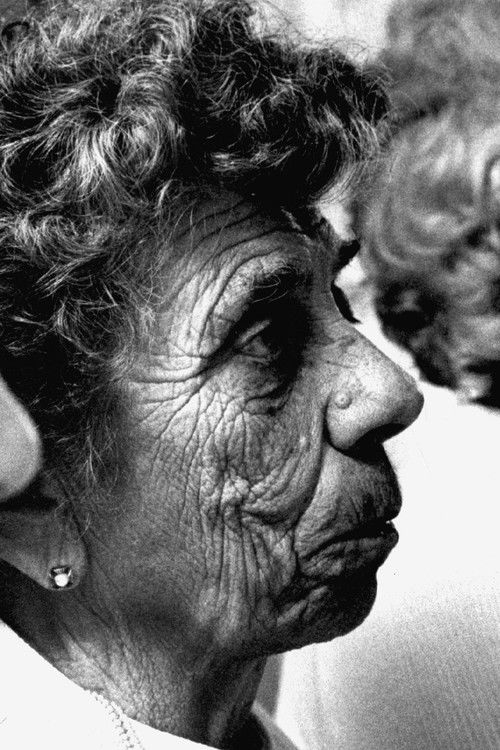 The Little Gluers (1981) poster