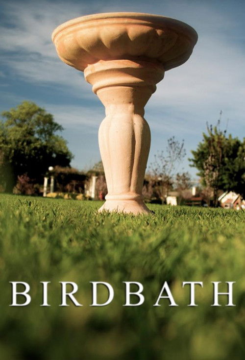 Birdbath (2013) poster