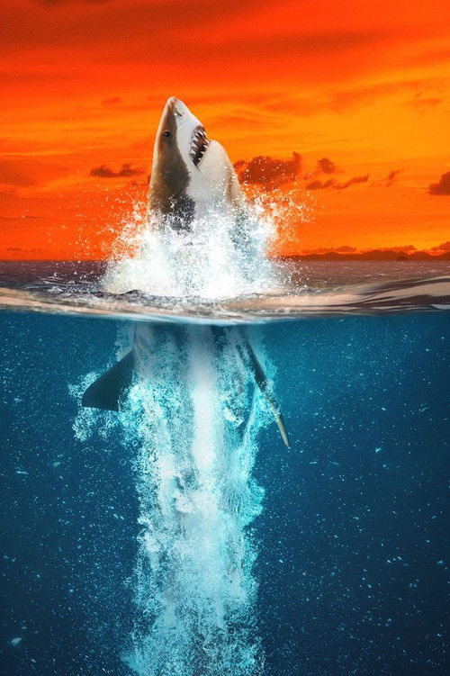 Air Jaws : Mordus de records (2021) poster