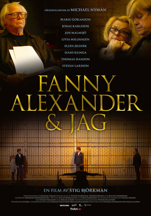 Fanny, Alexander & Me (2013) poster