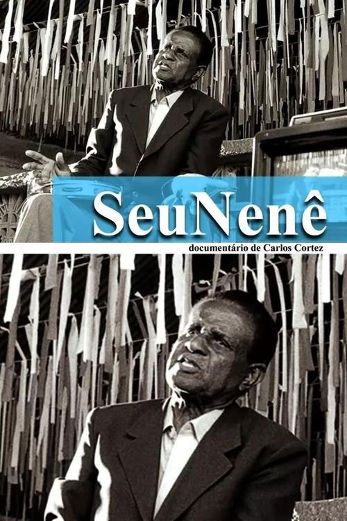 Mr. Nenê From Vila Matilde (2001) poster