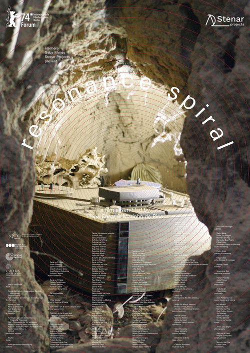 Espiral em Ressonância (2024) poster